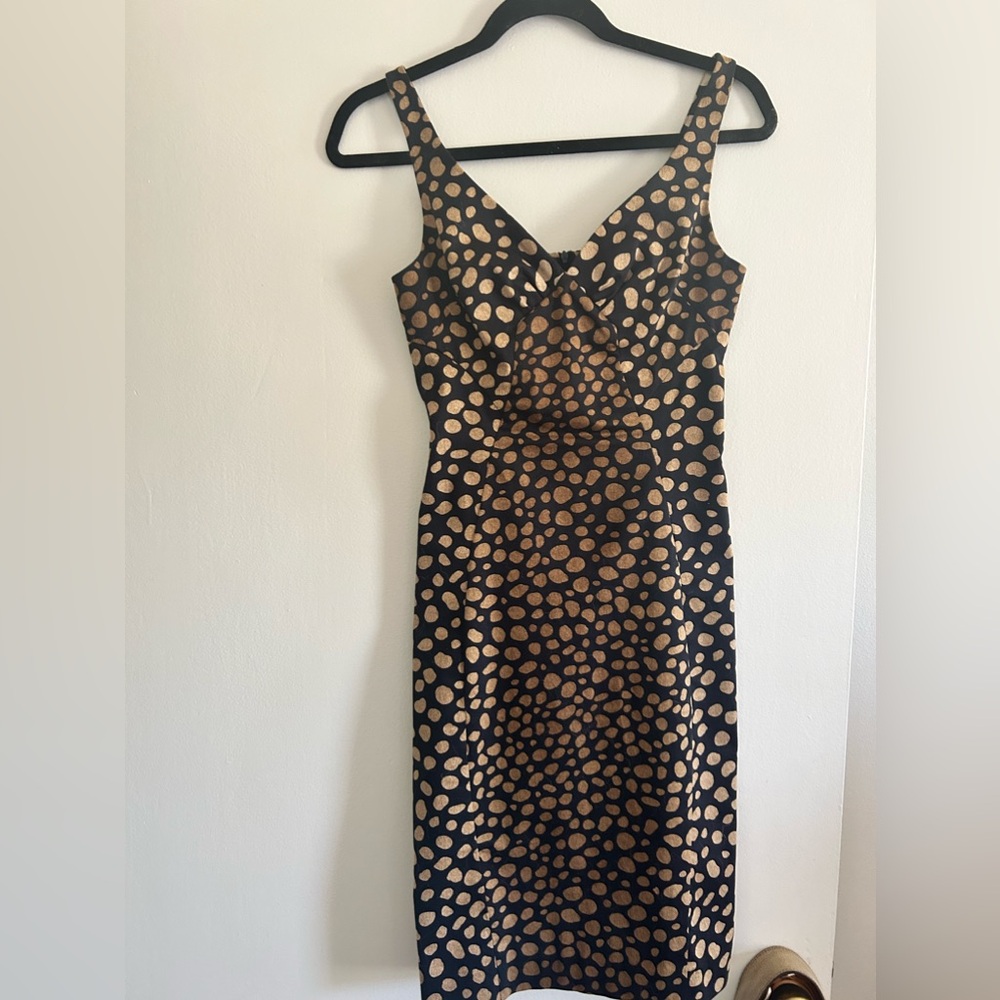 Samsntha Sung beautiful dress size 2